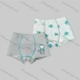 Wholesale Boys Cute Graphic Boyshort Underwear Panties (2 Pieces of Pack) ND807# preview