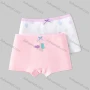 Wholesale Girls Assorted Colors Lovely Graphic Underwear Boxer Panties (2 Pieces of Pack) GD212# preview