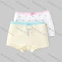 Wholesale Girls Assorted Colors Lovely Graphic Underwear Boxer Panties (2 Pieces of Pack) GD213# preview