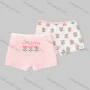 Wholesale Girls Assorted Colors Lovely Graphic Underwear Boxer Panties (2 Pieces of Pack) preview