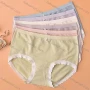 Wholesale Women's Plain Elastic Breathable HIgh Waist Brief preview