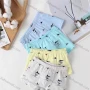 Wholesale Boy's Allover Print Breathable HIgh Waist Boxer Brief (Pack of 2) preview