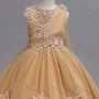 Wholesale Girls Lovely Crew Neck Sleeveless Appliques Pleated Flower Dress preview