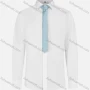 Wholesale Men's Business Plain Long Sleeve Shirt Woth Tie preview