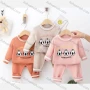 Wholesale Baby's Casual Long Sleeve Round Neck Sweater & Pants 2 piece Set (Pack Of 12) 6348# preview