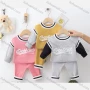 Wholesale Baby's Casual Long Sleeve Round Neck Sweater & Pants 2 piece Set (Pack Of 12) 6348# preview