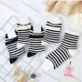 Wholesale Women's Casual Striped Print Cushioned Stocking Medium Crew Socks(Pack Of 10) preview