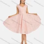 Wholesale Women's Elegant V Neck Cap Zip Back Knee Length Lace Evening Dress 8388# preview