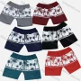 Wholesale Boys Casual Tropical Print Elastic Waist Drawstring Shorts preview