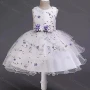 Wholesale Girls Lovely Crew Neck Floral Print Embroidery Lace Flower Dress preview